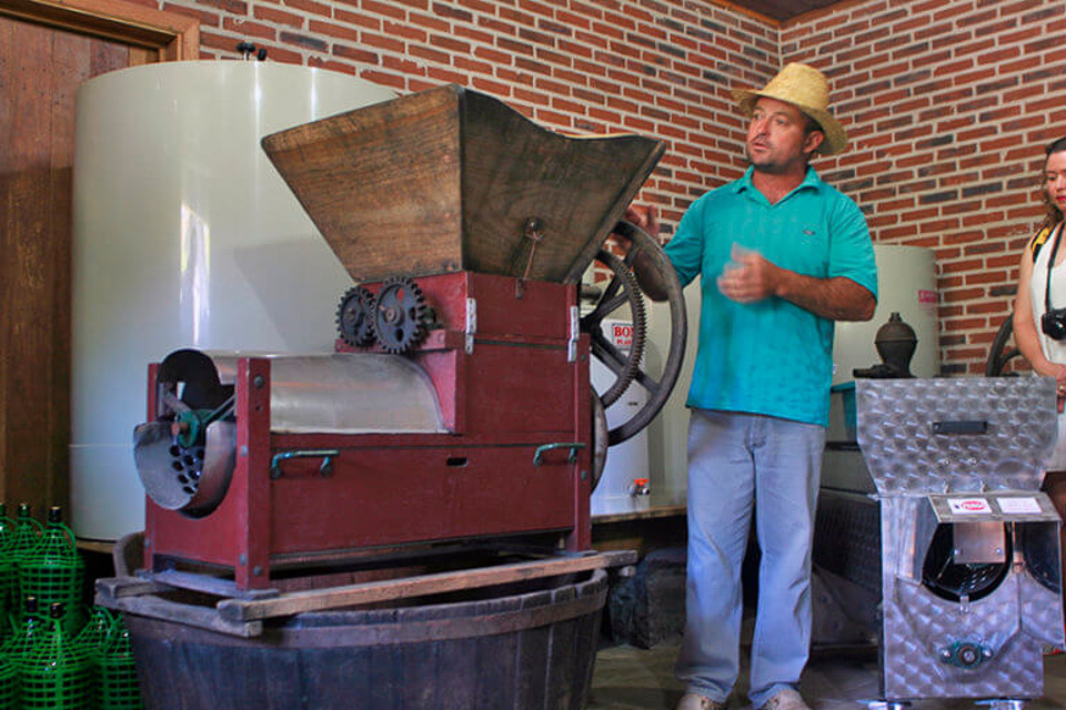Tour o Quatrilho, um roteiro de agroturismo na Serra Gaúcha produção de vinho