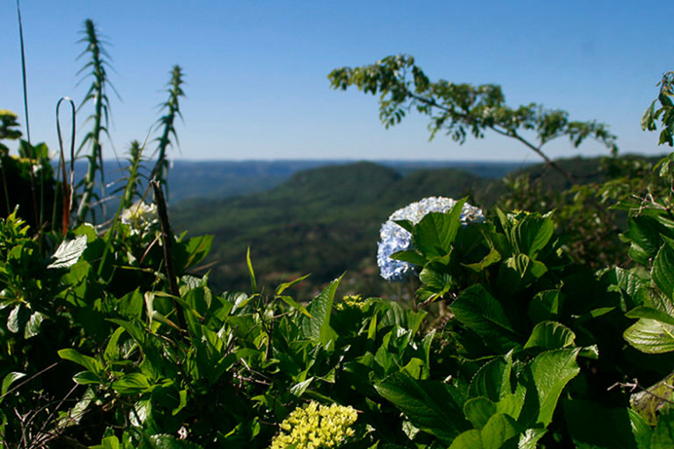 Tour o Quatrilho, um roteiro de agroturismo na Serra Gaúcha morro da polenta