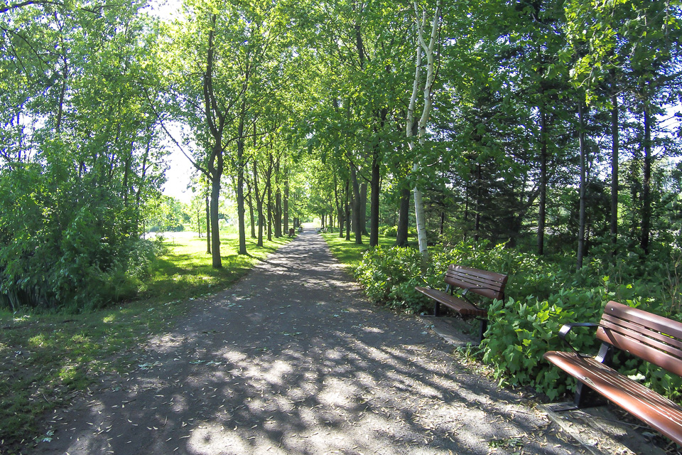 Areá arborizada no Jardim Botânico de Montreal, Canadá