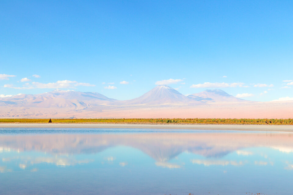 O que fazer no Atacama Laguna Cejar