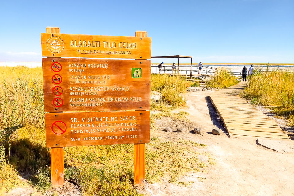 Quais os principais passeios do Atacama Laguna Cejar