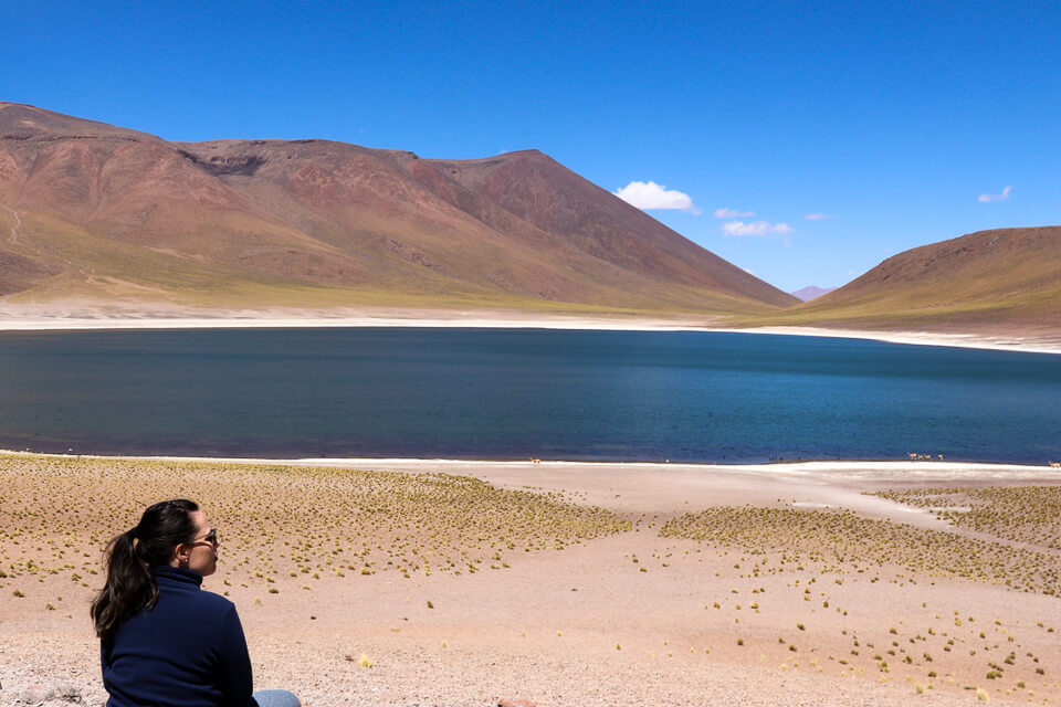 O que fazer na Laguna Meniques das Lagunas Altiplânicas do deserto do Atacama