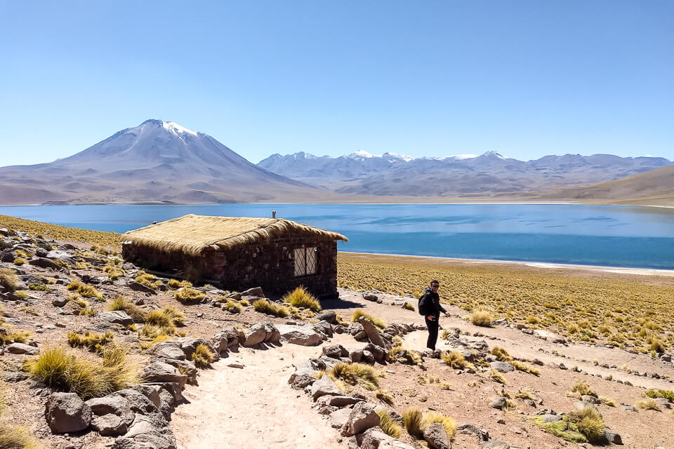 O que fazer no Atacama Lagunas Altiplânicas - Laguna Miscanti