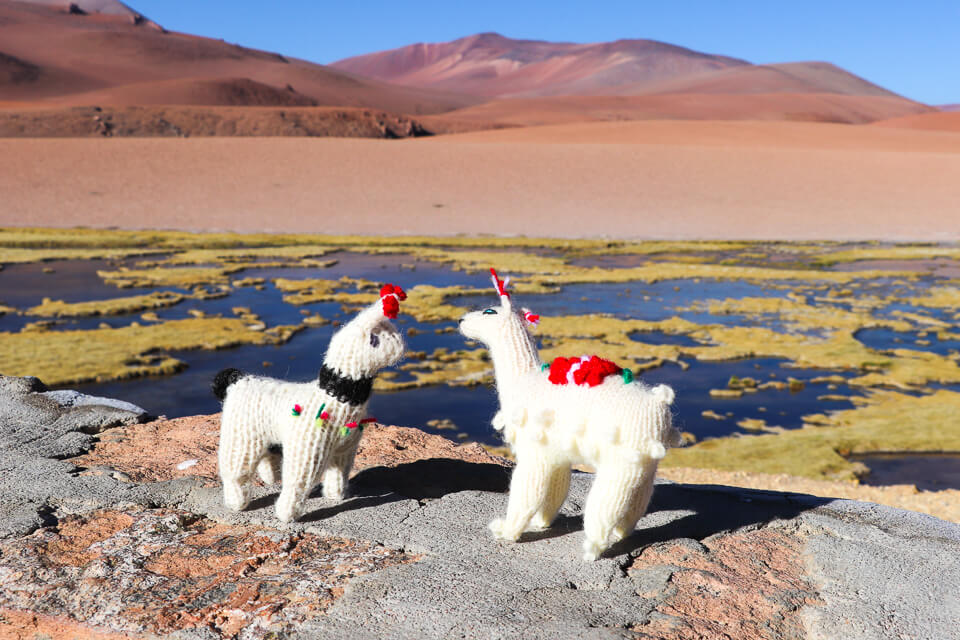  bofedal de Quepiaco a caminho do Salar de Tara deserto do Atacama 