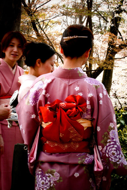 Festival da flor de cerejeira, Sakura Matsuri no Japão e kimono