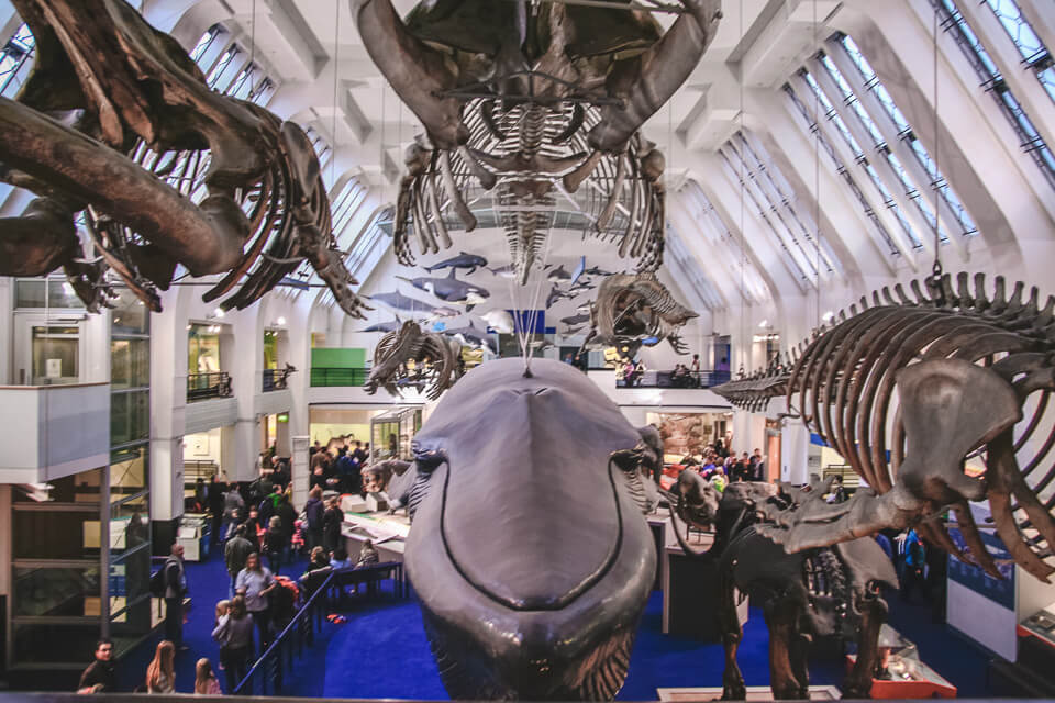 O Museu de História Natural de Londres