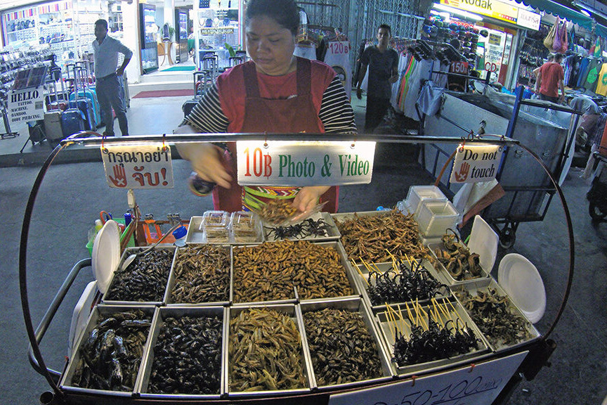 Comendo insetos na Khao San Road